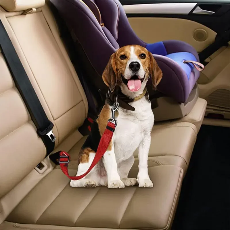 Pet Dog Car Seat Belt, Double- - огляд і ціна Swing Seat Belt